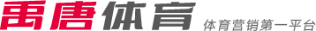 主场比赛中